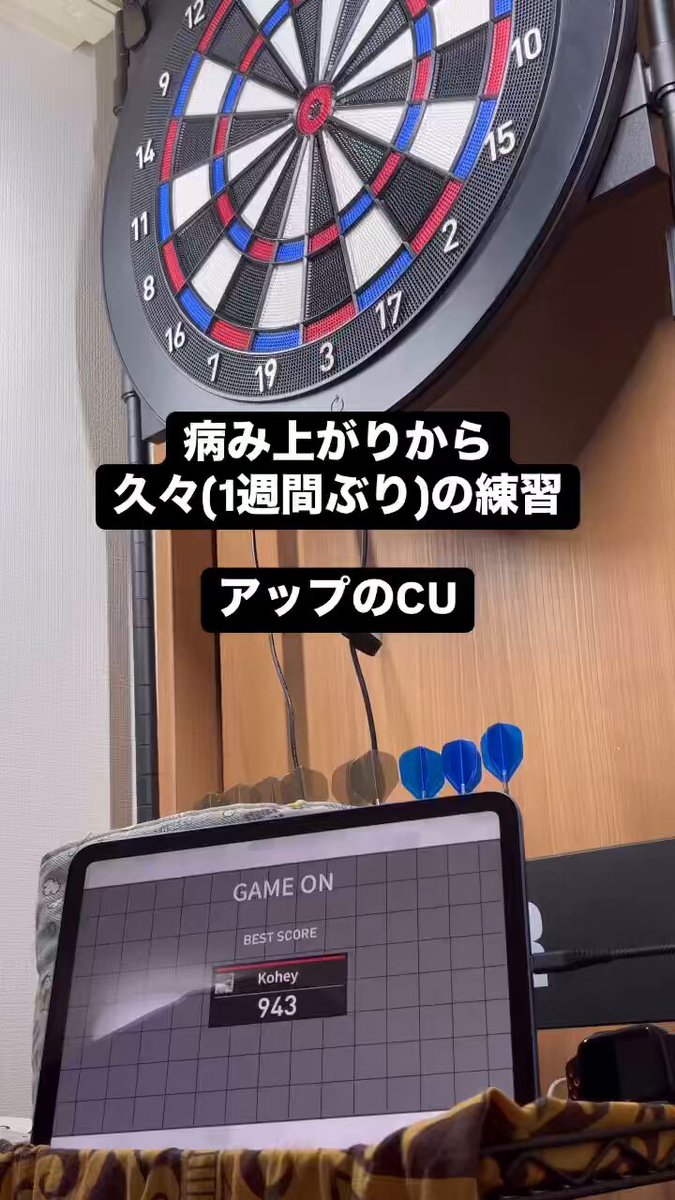 DARTSLIVE - る L-style エルスタイル】佐々木沙綾香 ver.5 エルフライト