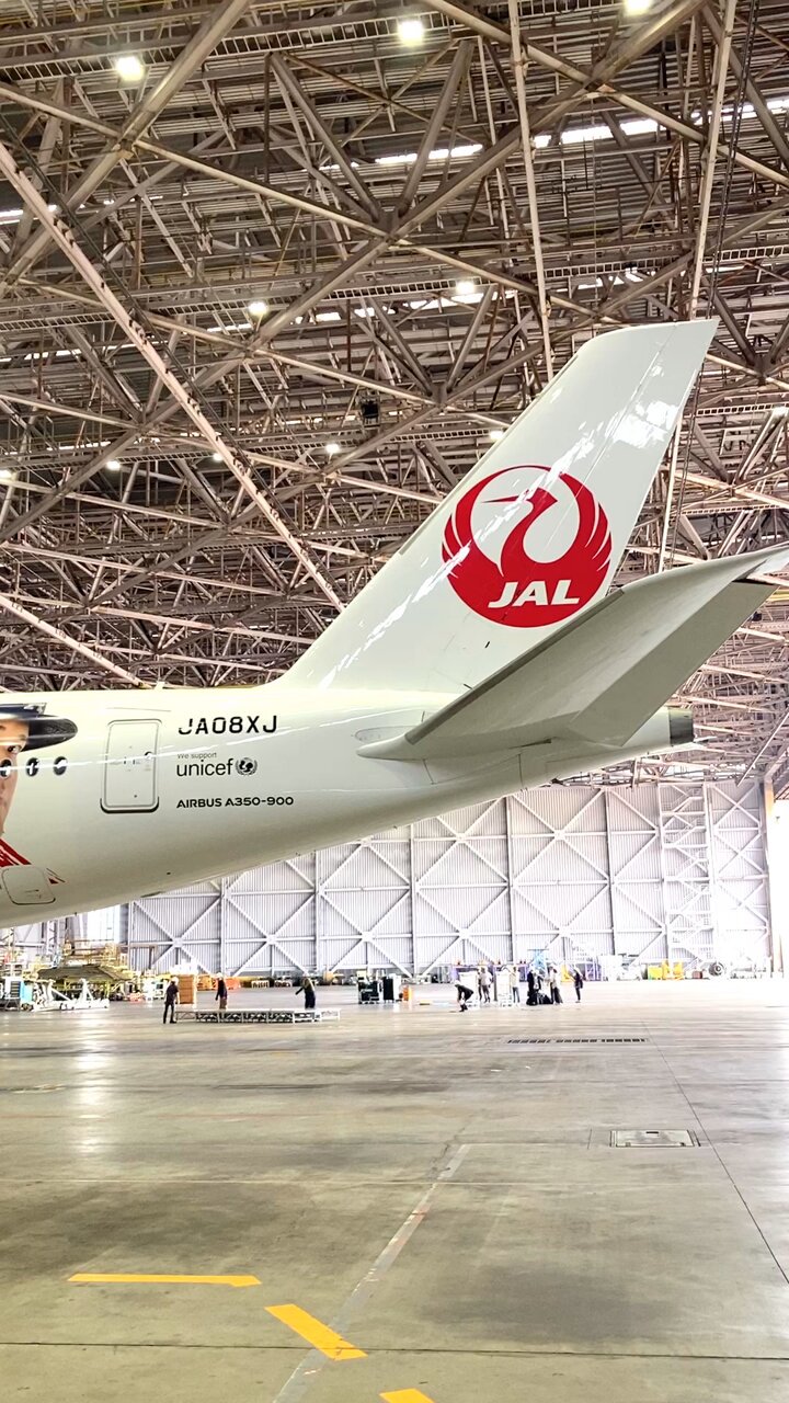 JAPAN AIRLINES【JAL】 on X: 