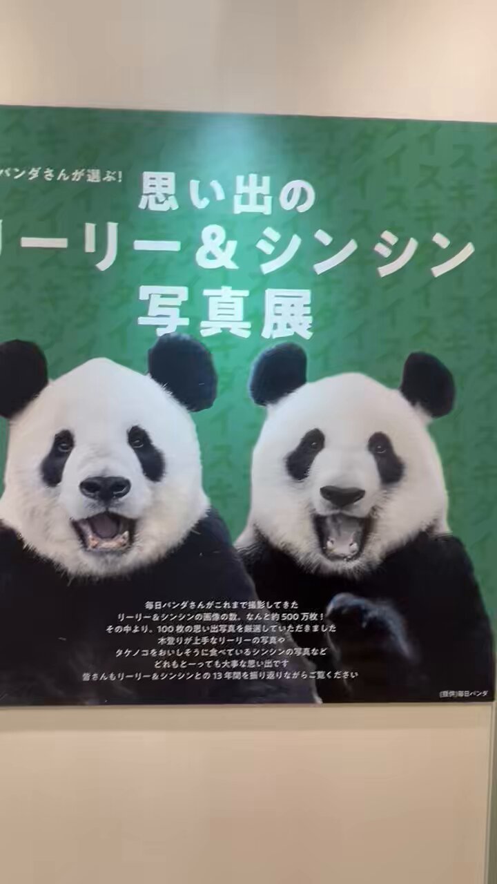 ☆シンシン ポストカード「毎日パンダさんの思い出ポストカード ☆シンシン ポストカード「毎日パンダさんの思い出ポストカード