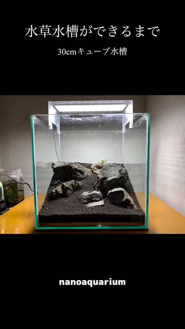 ジョンになります。 imgrc0108642315.jpg