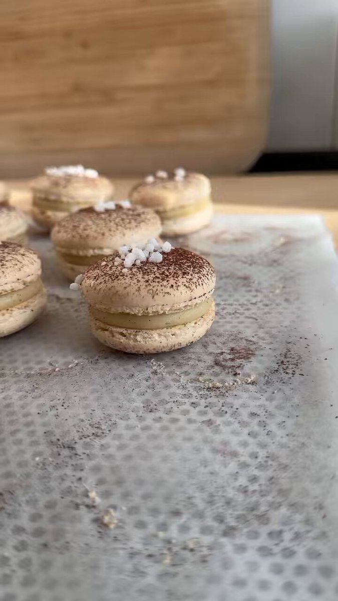 macaron - Search / X