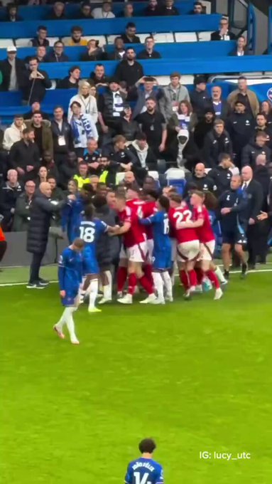 Fans spot Cole Palmer's hilarious reaction to touchline brawl vs Nottingham  Forest, there's nobody like him - SPORTbible