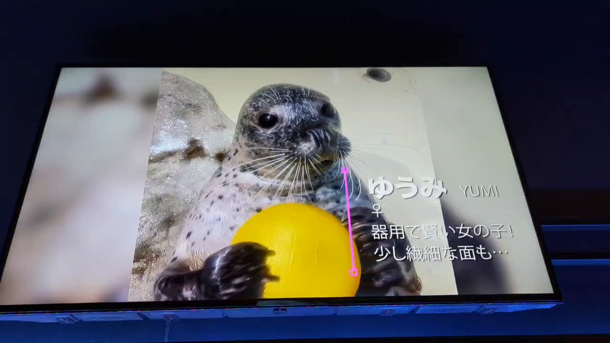 yuumi♡0902様 専用 @suzuk1_san_'s video Tweet