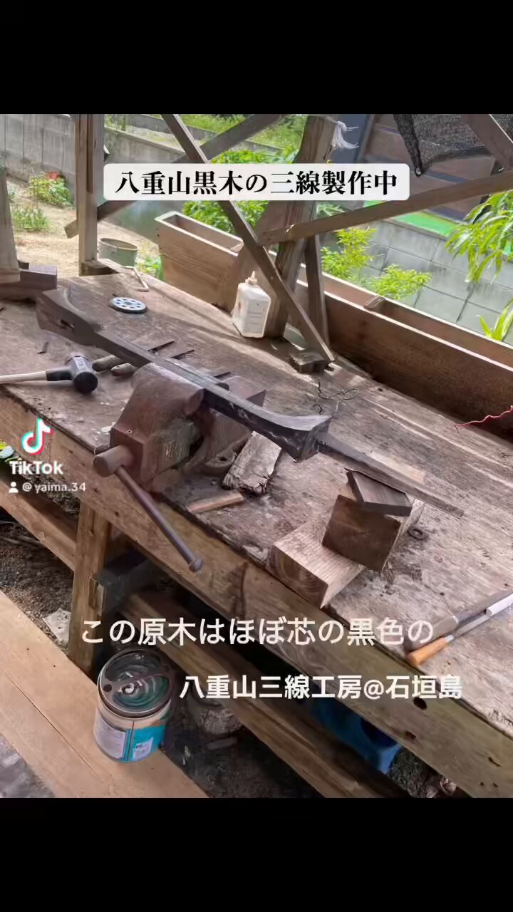 八重山黒木沖縄三線の原木1 （島袋の大與那城八重山黒木 名器級