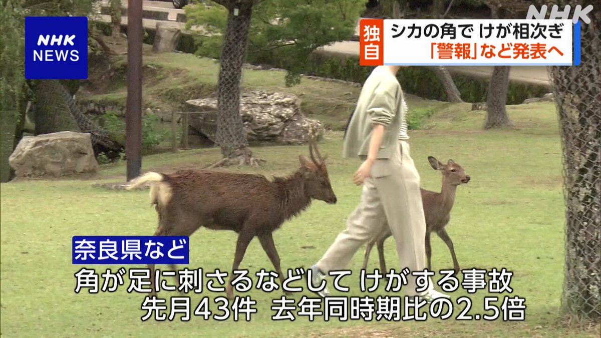 Twitter Image