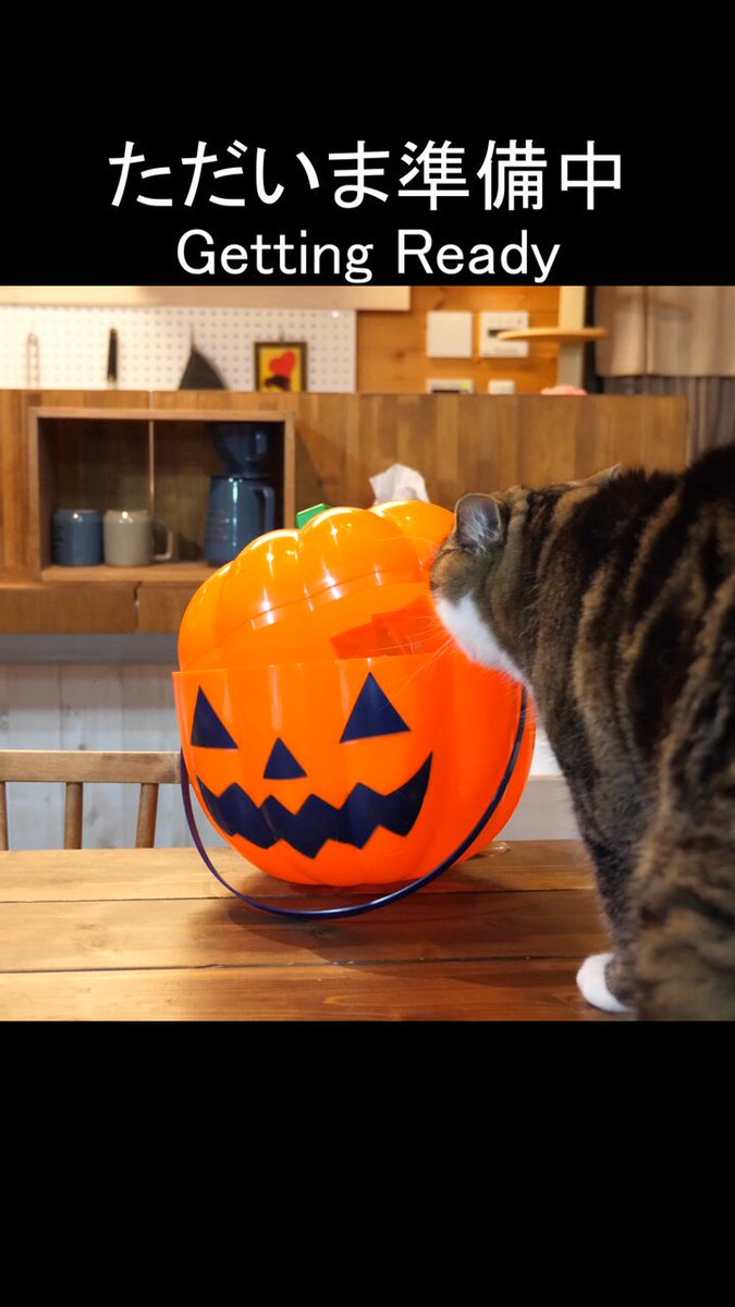maru ☺︎ さま専用ページ からぴち
