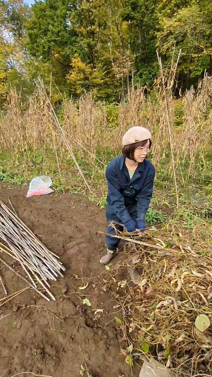 地元でとれたウニ5枚セット 2月15日 地元でとれたムラサキウニ5枚セット