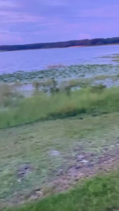 The calm before the storm&hellip; https://t.co/KJTZnCaSzR<a href="/tag/scissorhold"class="tags"><span>#scissorhold</span></a>