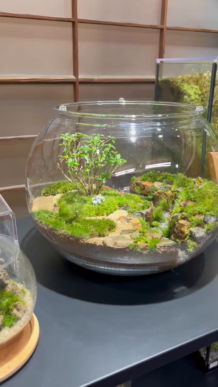 こけむすび こけむすび 苔むすび OnlineShop
