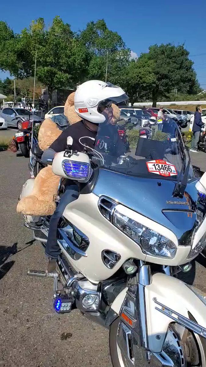 くまさんとクマ子さん