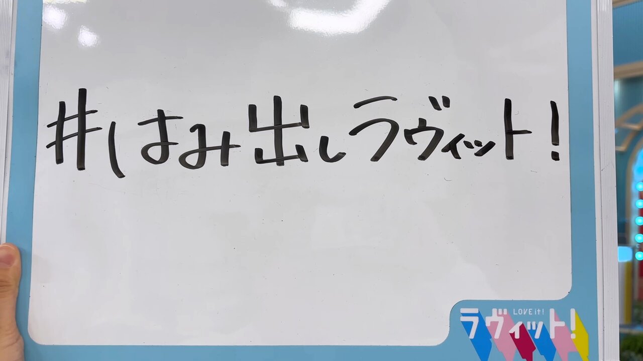 らびっと１１枚 ゼット ZETT 硬式金属製バット デストライド 84cm 83cm BAT19584