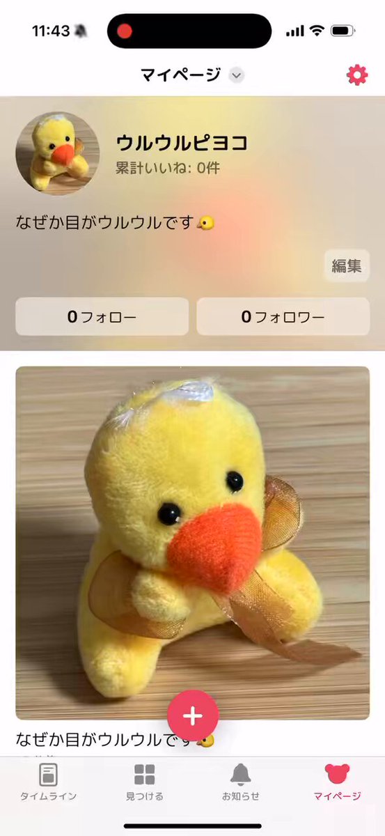 移動ポケット♩ふわもこ くまちゃん♩オーダーはコメントからお願い