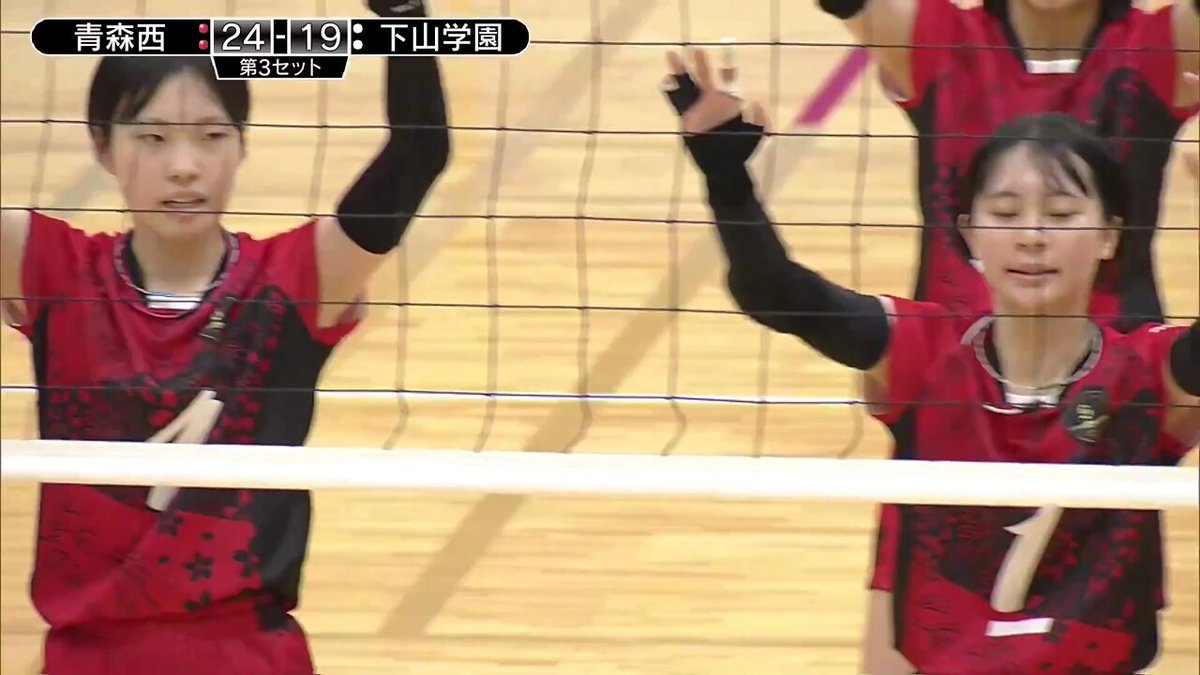 スポーツブル バレーボール on X: 