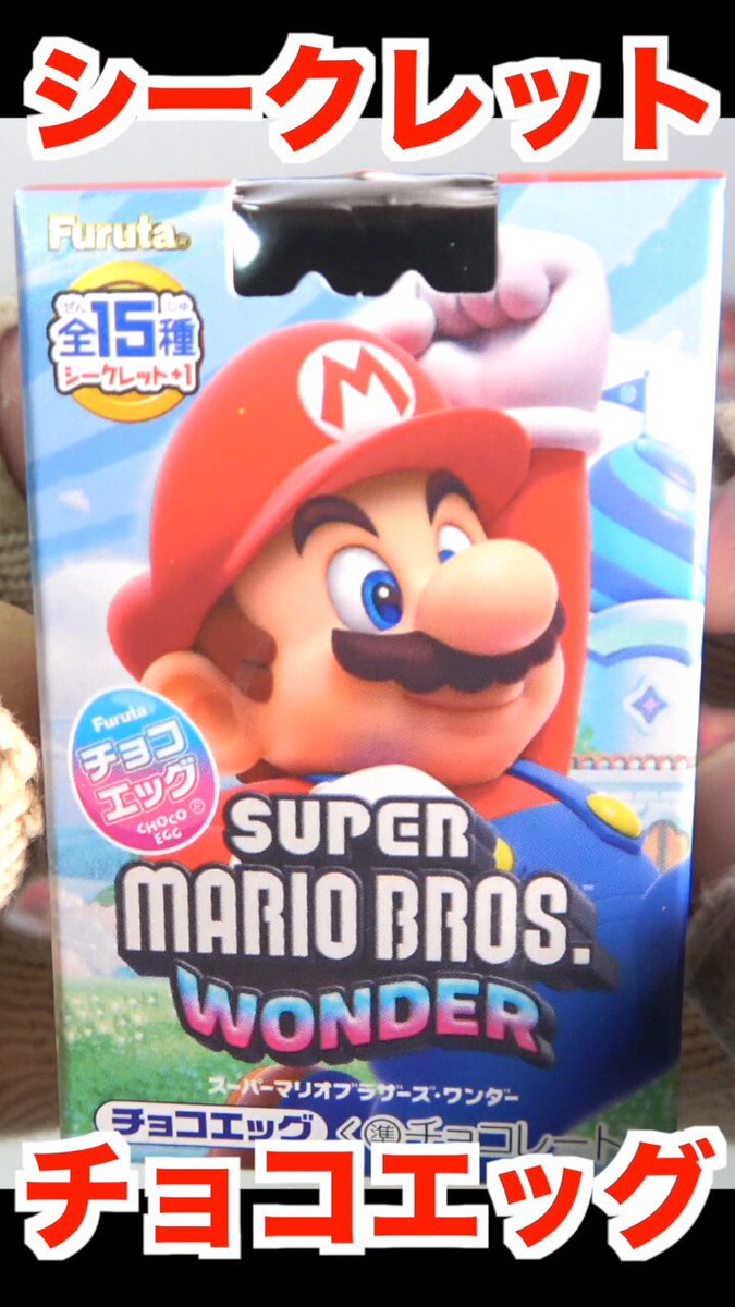 チョコエッグ スーパーマリオ 全15種＋シークレット？ （ギフト
