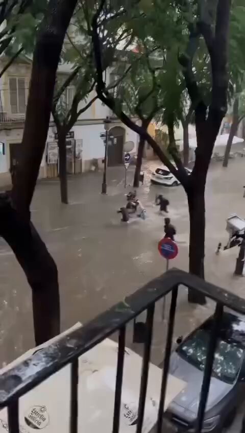 Ενσωματωμένο βίντεο