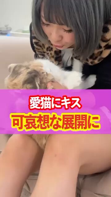 もこちゃんねる (@mokochannel1027) / Posts / X