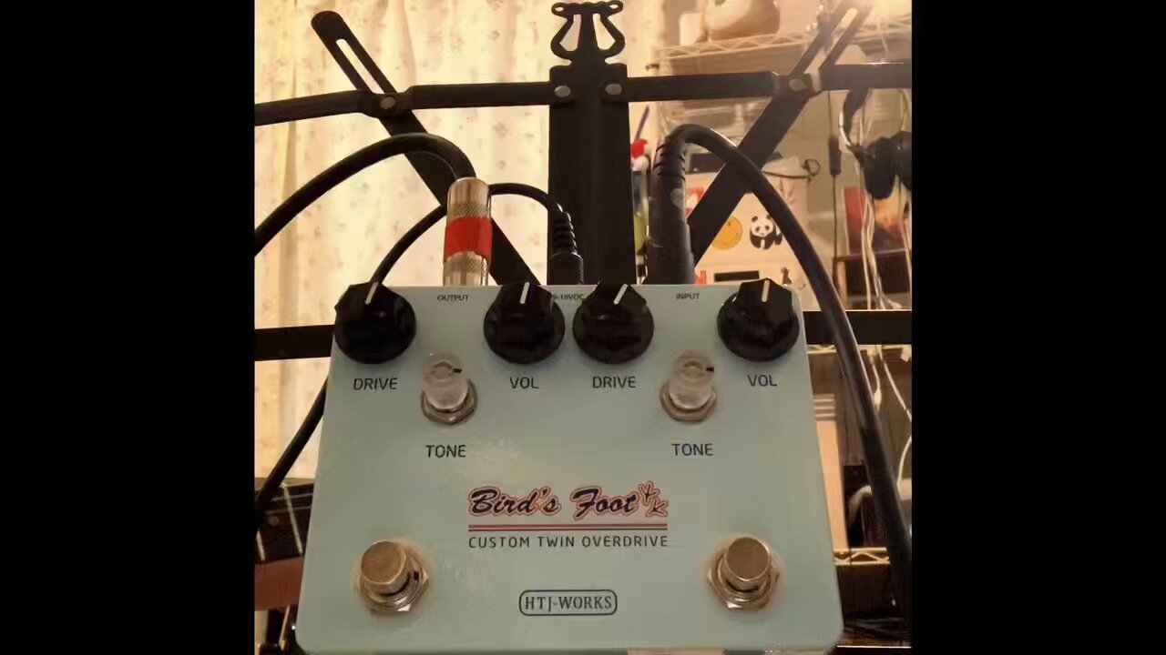 HTJ Works Bird's Foot Custom Twin Overd
