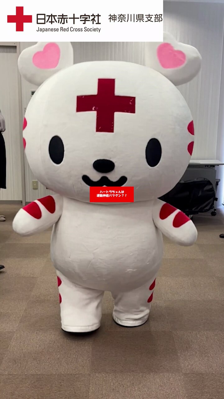 日本赤十字社 神奈川県支部 on X: 
