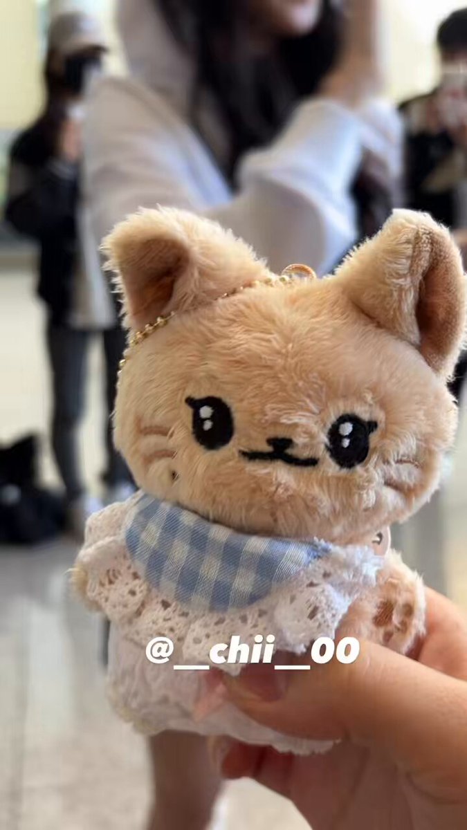 🫟chisato🫟 (@__chii__00) / Posts / X