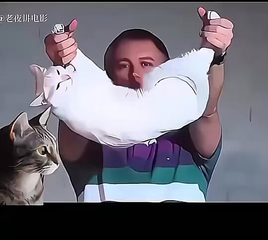 Video oleh @iron_fist_sanc