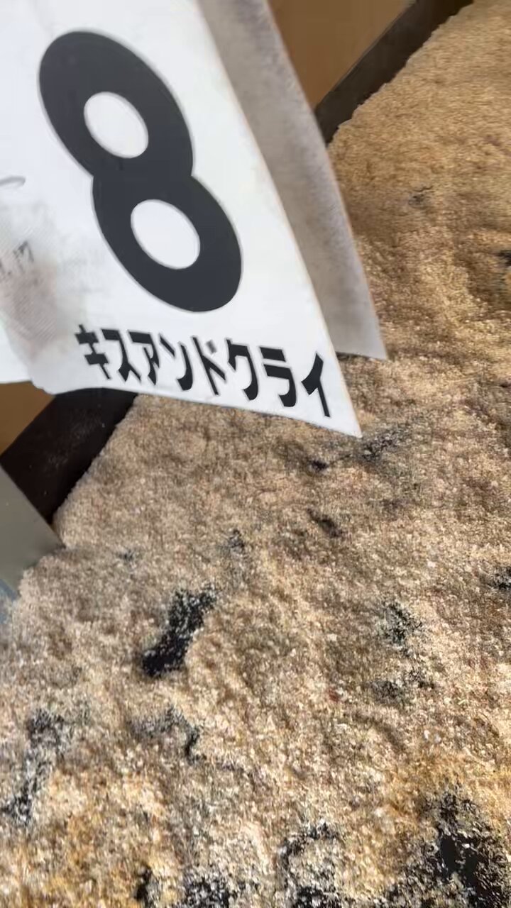 ちゅーたん - Search / X