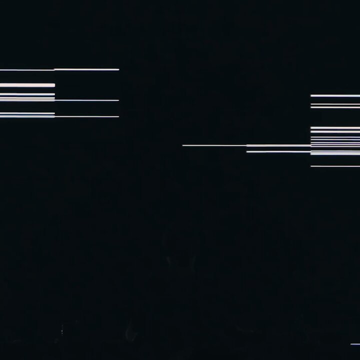 codex | edition (@codexedition) / X