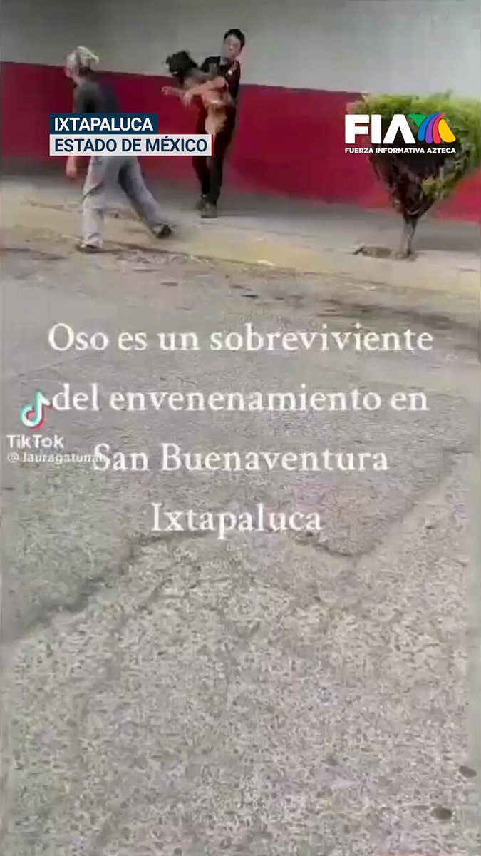 Michelle A San Buenaventura (@divermishoo_) • Instagram photos and videos, image size:675x1200