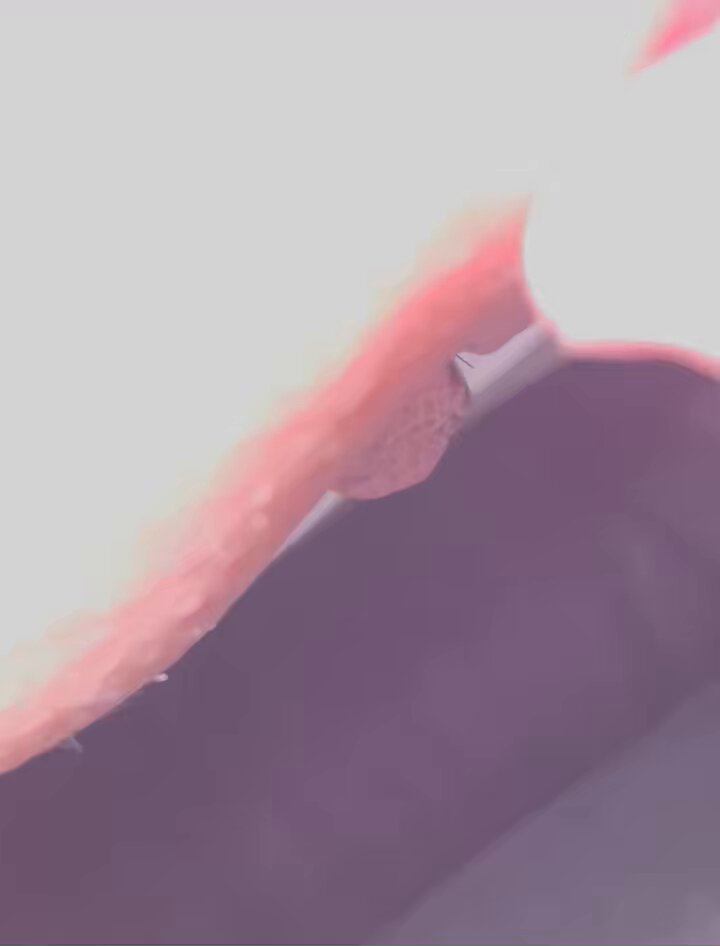 Twitter Image