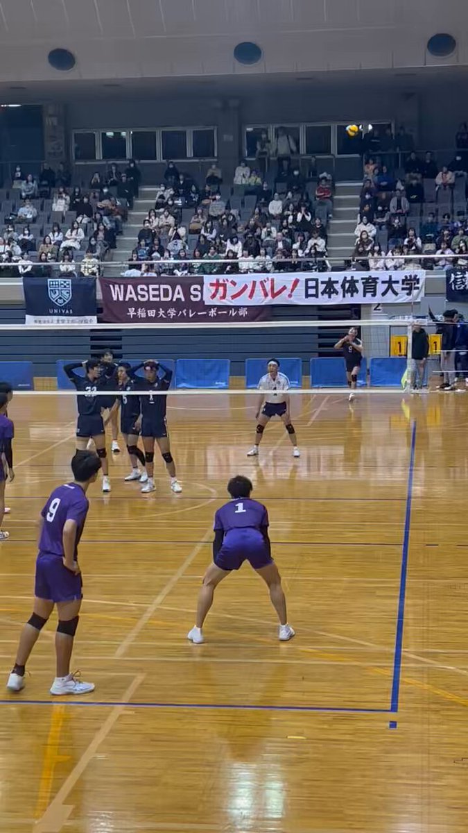 日本体育大学 男子バレーボール部 on X: 日本体育大学 男子バレーボール部 on X: