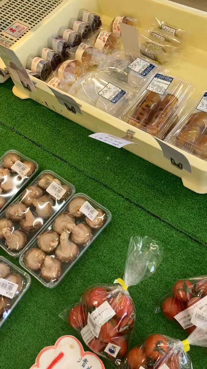 いちこさん専用 商品一覧 | 安芸こまち 水素水で育ったいちご