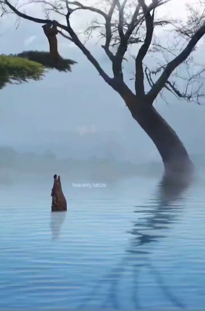 Twitter Image
