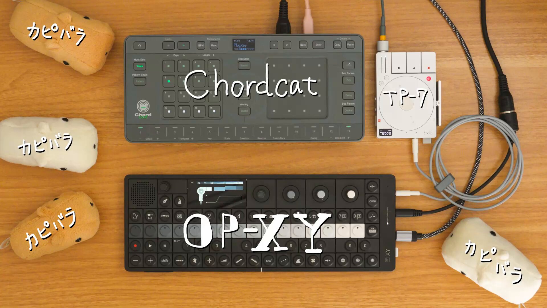 Chordcat MIDIコントローラー コードレコメンド機能でコードが弾ける、作れる。 ひらめきが