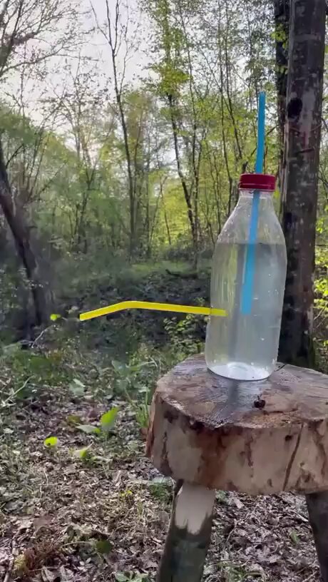 Video oleh @tannokasa4