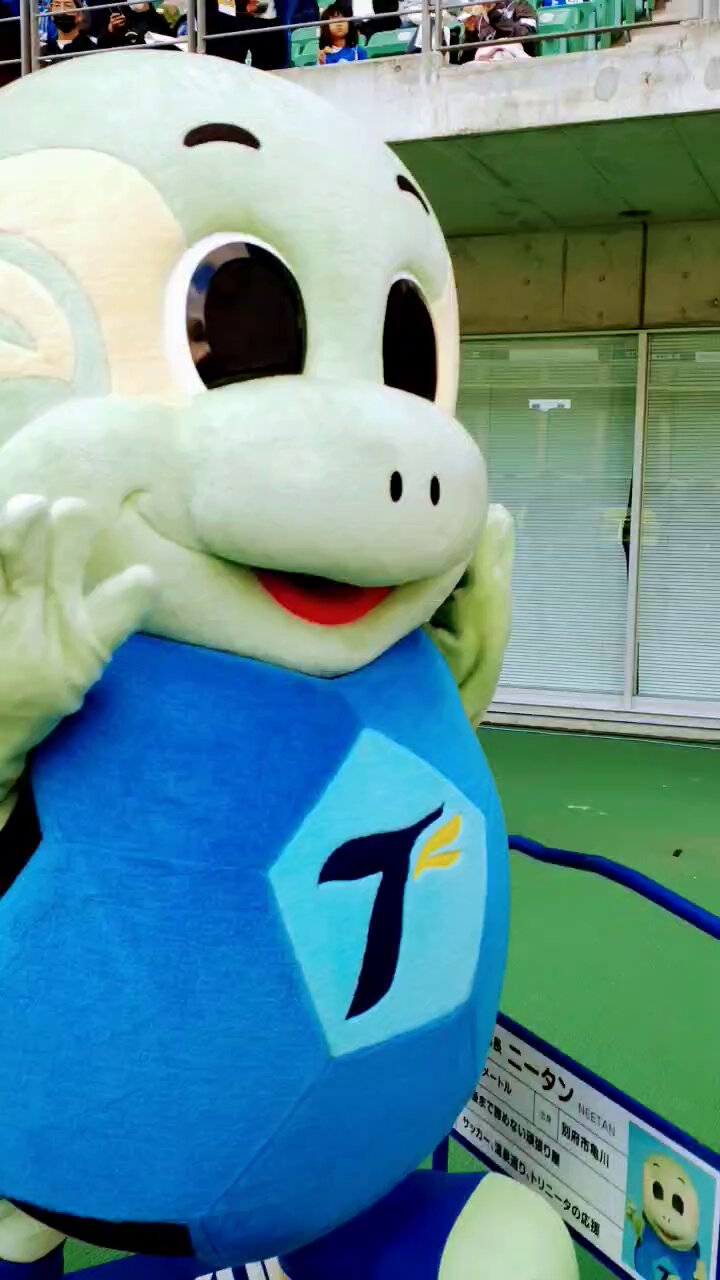 💙💛ｼｮｺ🐢🐰 on X: 