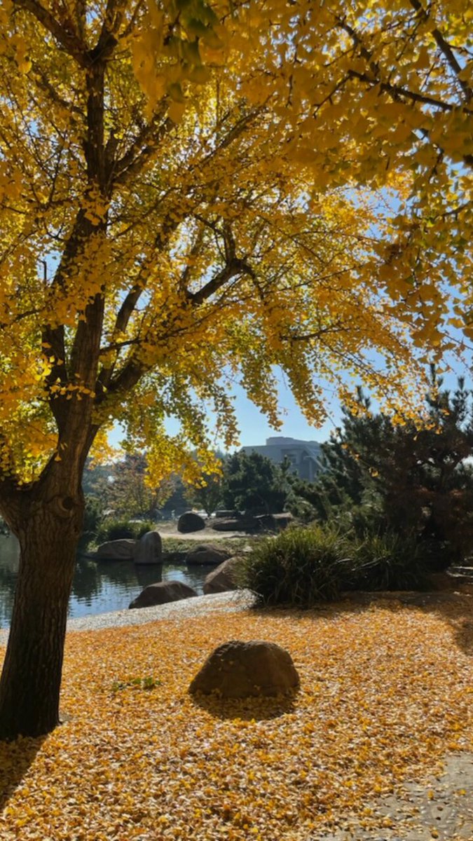 The Japanese Garden - Suiho En (@japangardenLA) / X