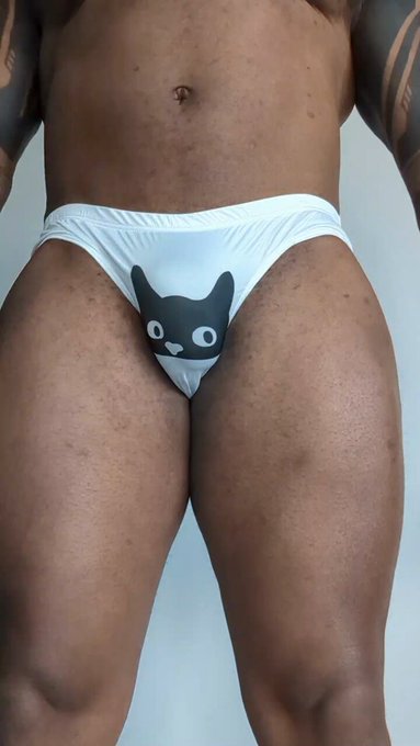 It's not a little cat I see 

@SHOPjjmalibu 
USE CODE MASSIVE15 
https://t.co/dgHPsStAH6 https://t.c