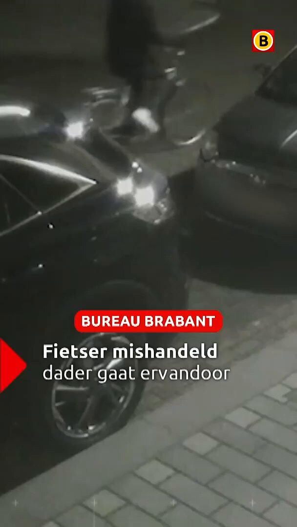 Zware mishandeling in Helmond