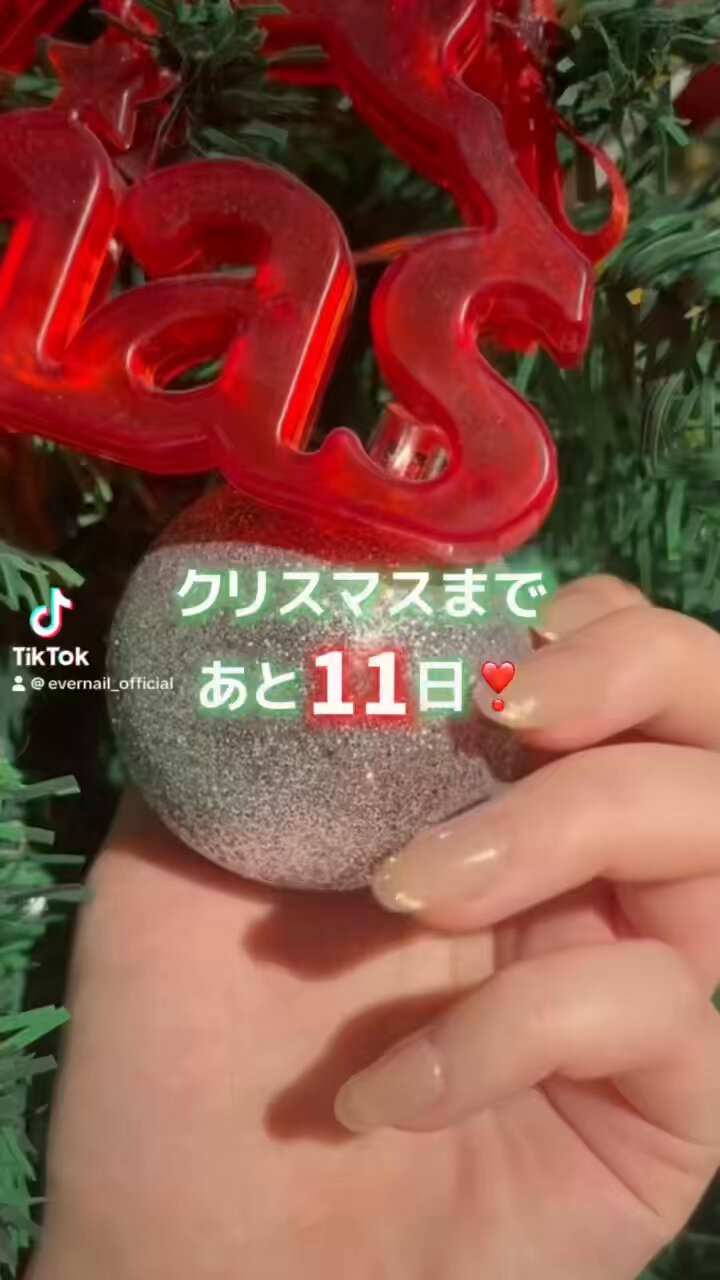 RIPINAIL EVERNAIL ネイルチップ ripinail リピネイル evernail エバーネイル ネイルチップ