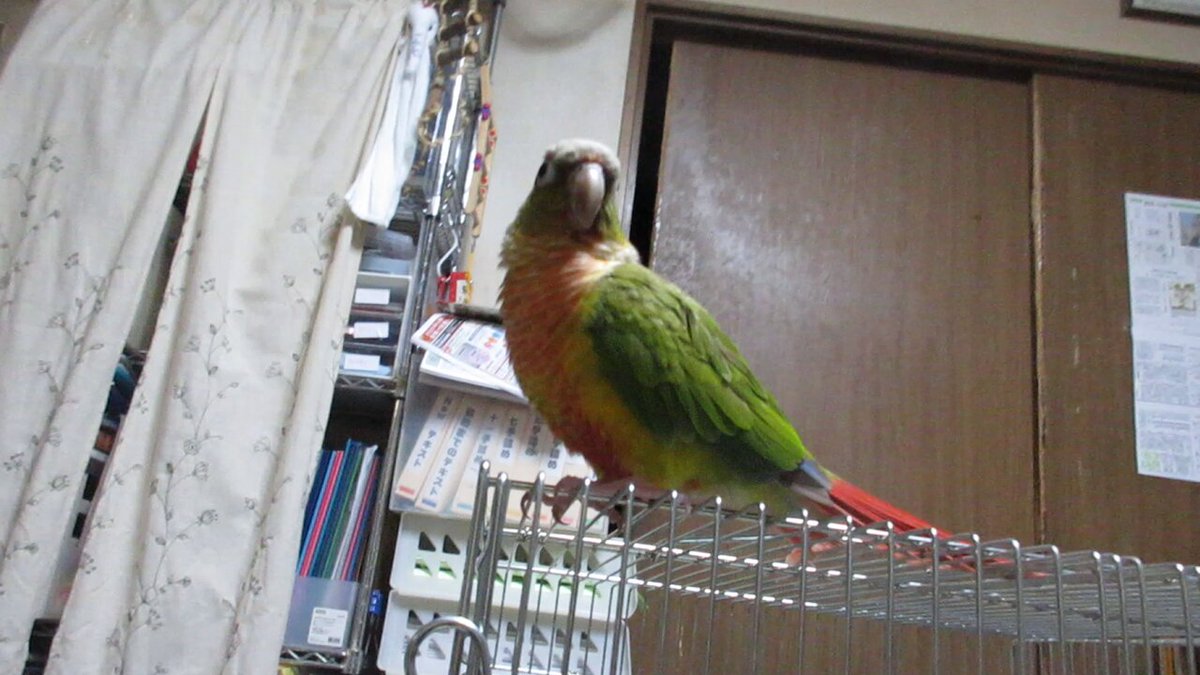 森　信雄さんの動画キャプチャー