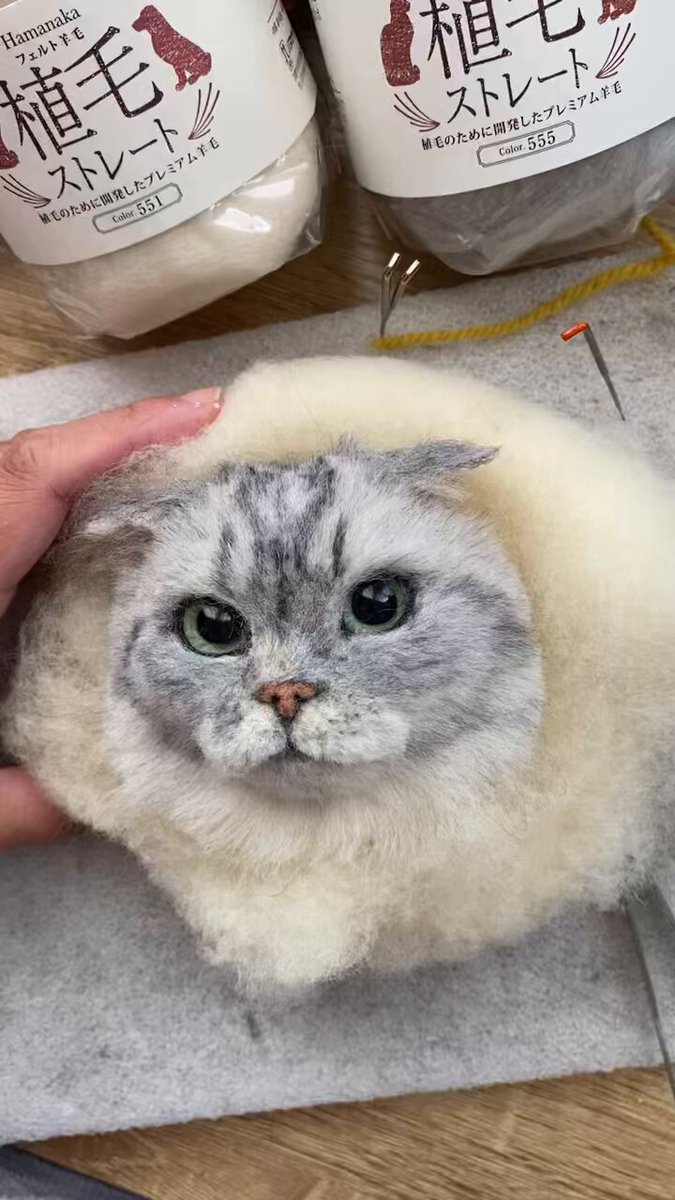 魅了 羊毛フェルト 最新入荷 ボクはギタリスト 羊毛フェルト 深い 猫 羊毛フェルト