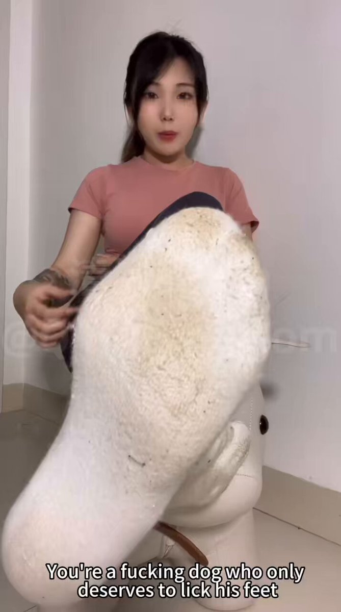 Video by @QingqingDom