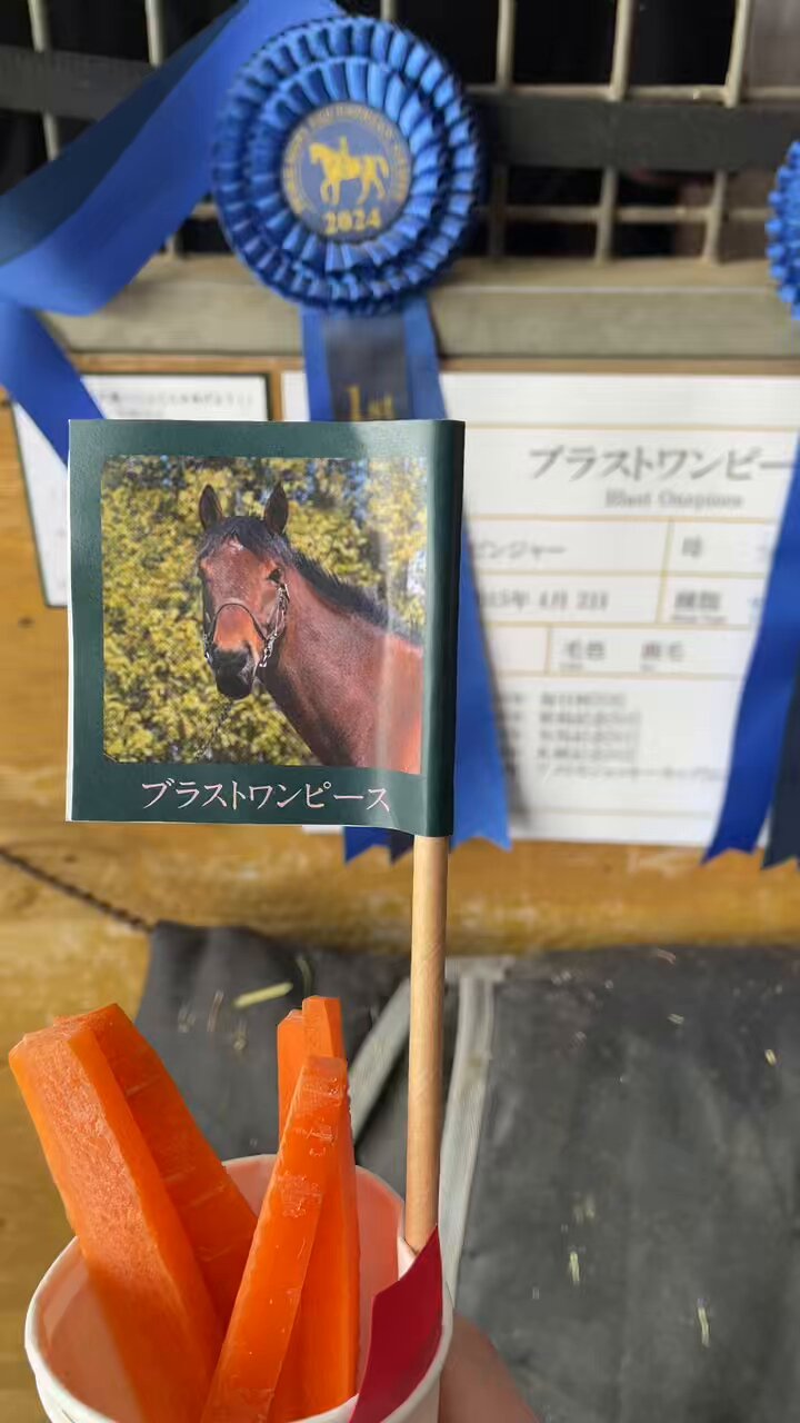 ブラストワンピース　たてがみ　ホースヘア ブラストワンピース - Search / X