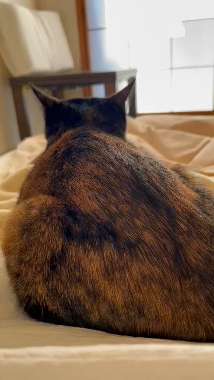 みつねこ。ページ♡ Y05HzWCI_200x200.jpg