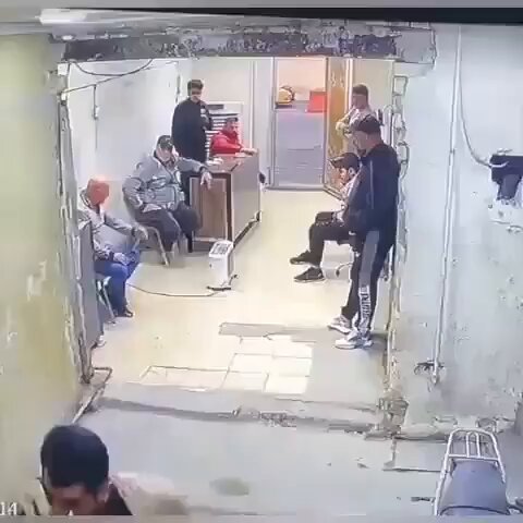 The dog is actually just having fun and messing around with them 😂 