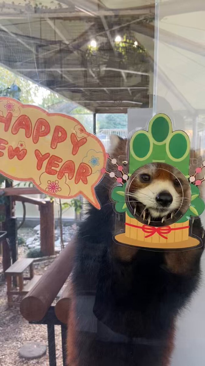 パプアくん (@pro824824824) / X