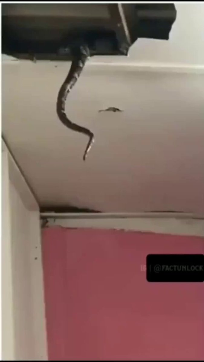 they were hearing strange noises for months... 