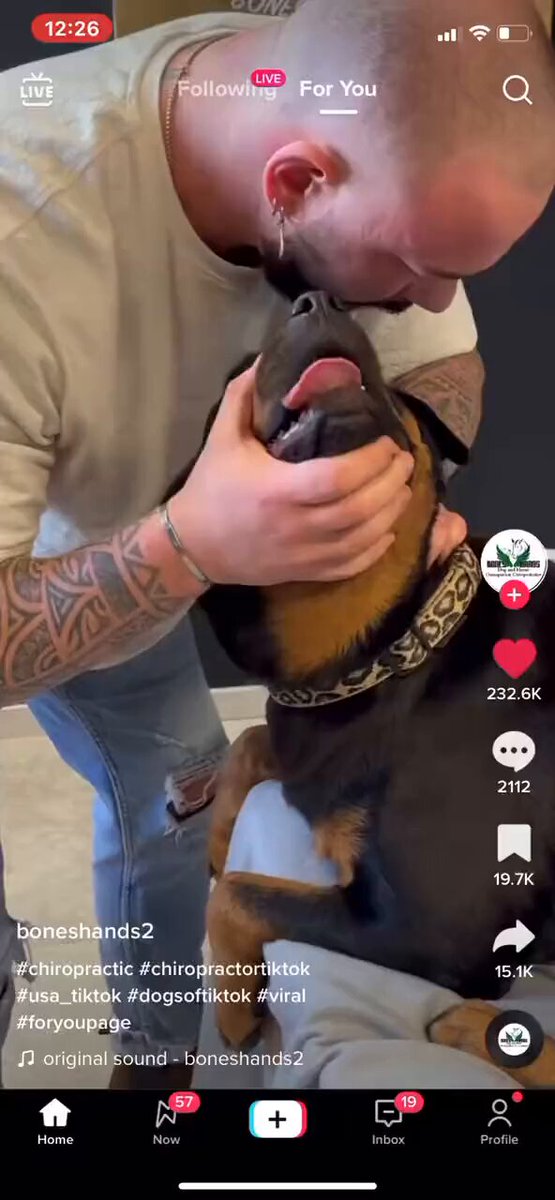 Chiropractor resets dogs neck and the dog was left speechless 🐶😮🤣 