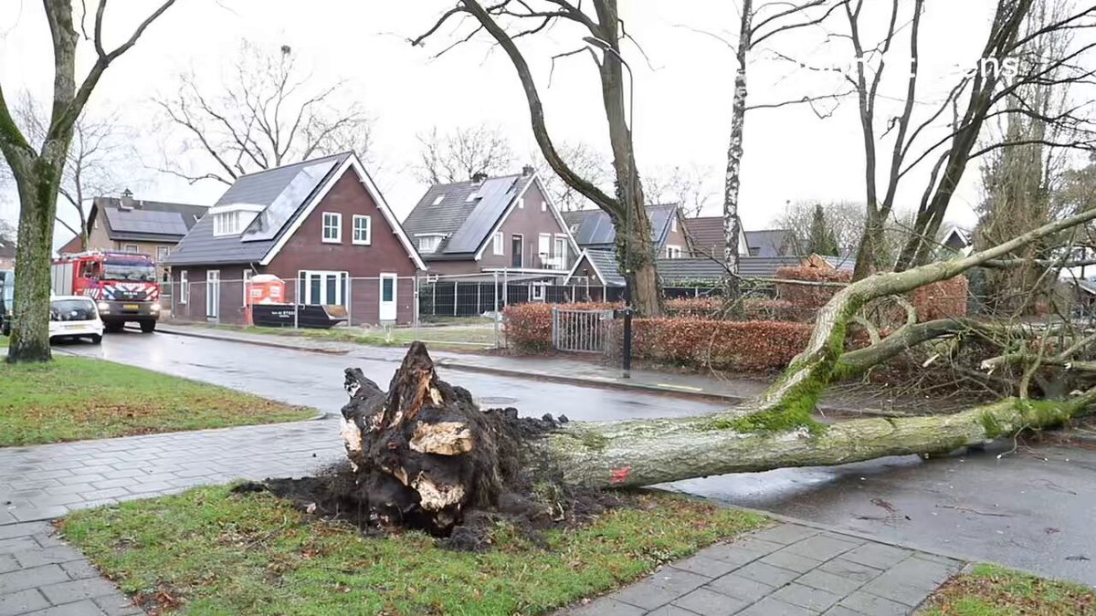 Harde wind veroorzaakt problemen in Apeldoorn