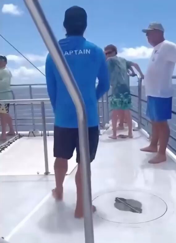 Bro didn’t forget physics class 