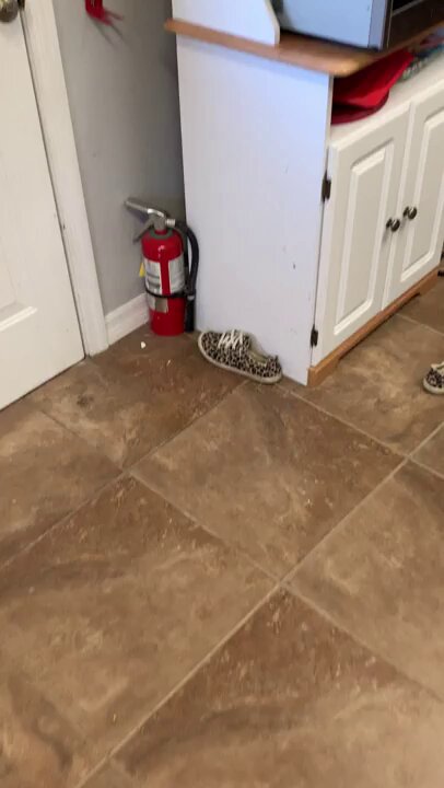 Dude caught my wife red handed. 